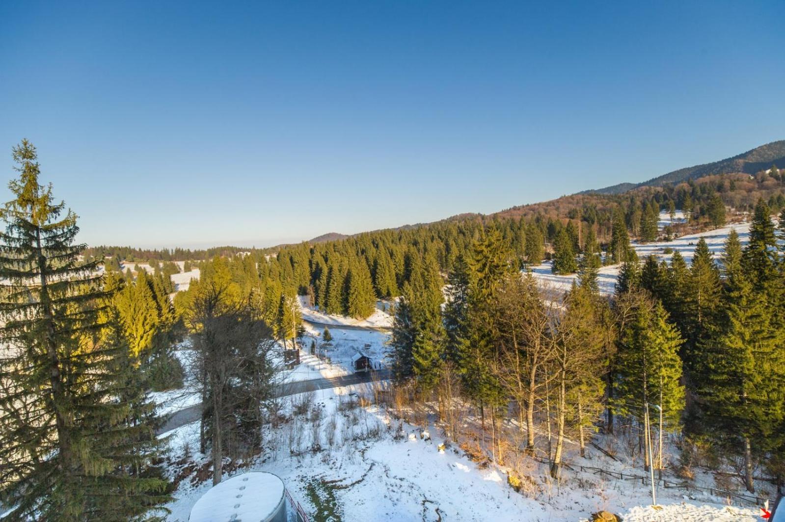 Pine Woods Apartment A43 In Silver Mountain โปยานาบราซอฟ ภายนอก รูปภาพ